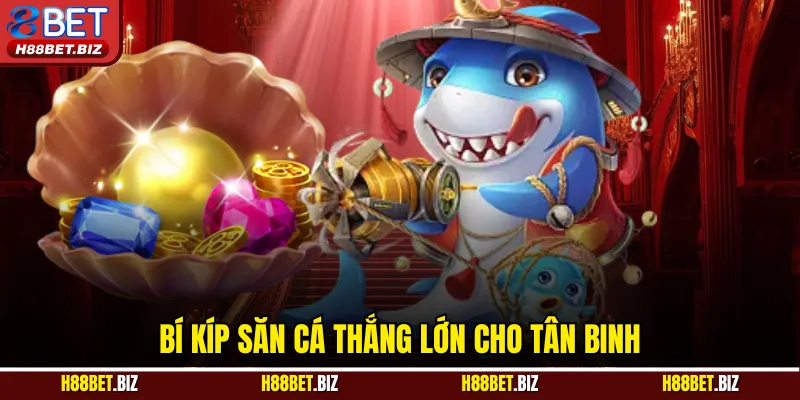 Bí kíp săn cá thắng lớn cho tân binh