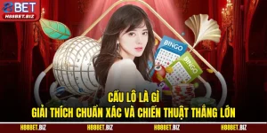 Cầu Lô Là Gì - Giải Thích Chuẩn Xác Và Chiến Thuật Thắng Lớn