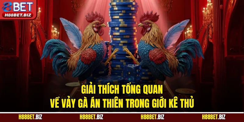 Giải thích tổng quan về vảy gà án thiên trong giới kê thủ